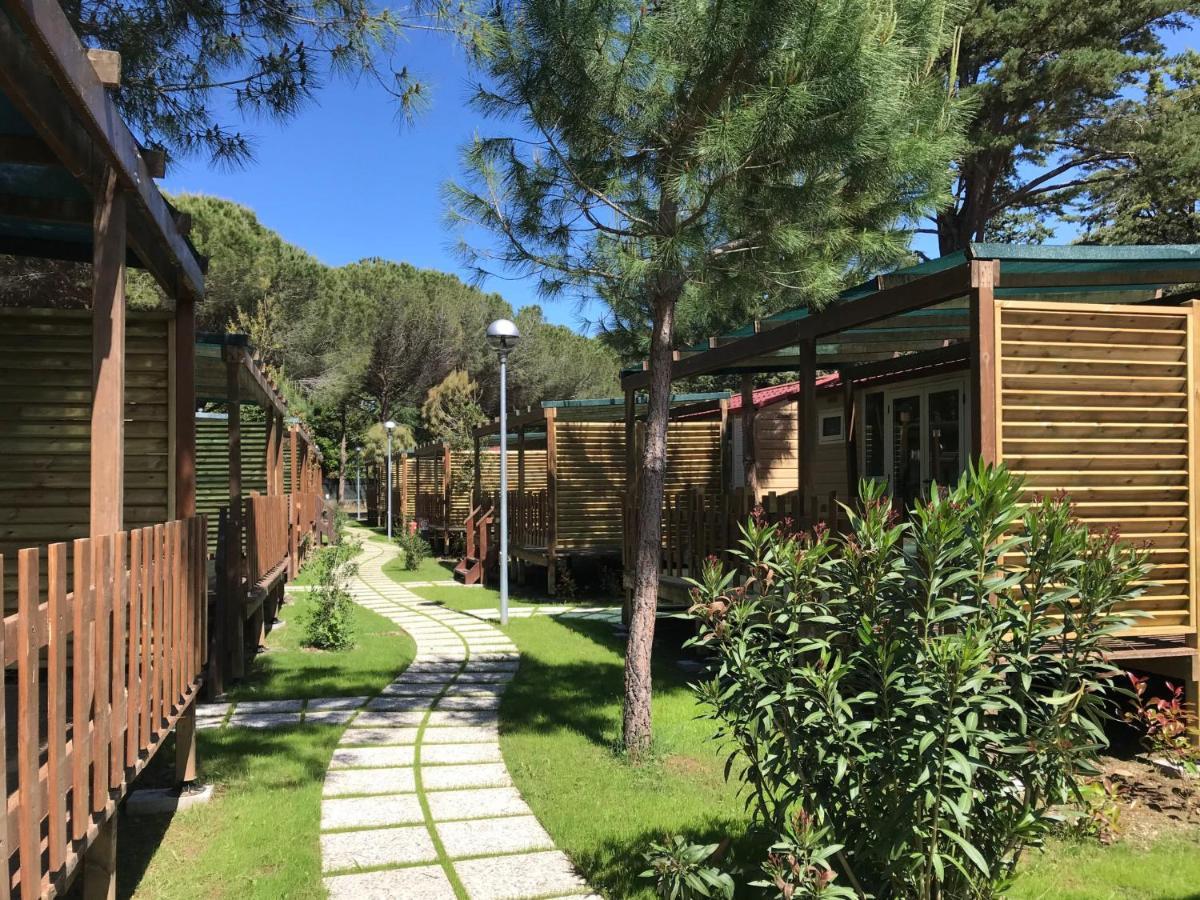 Holiday Home Ponente 6 By Interhome Marina Di Bibbona Exteriör bild